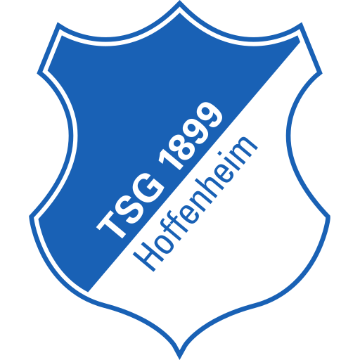 TSG Hoffenheim Current Season