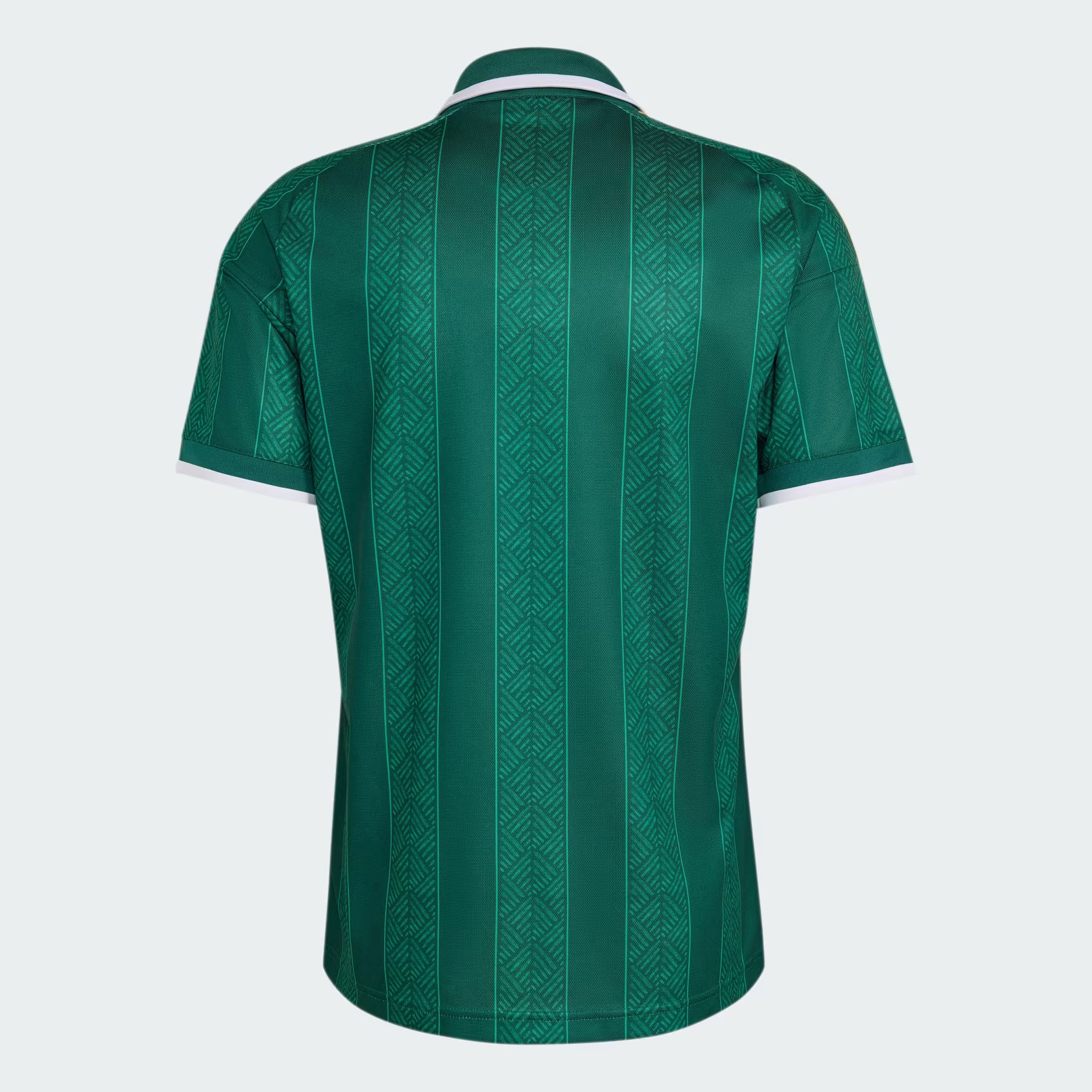 South Africa 2026 Away Replica Kit